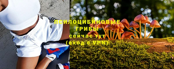 МДПВ Лиски
