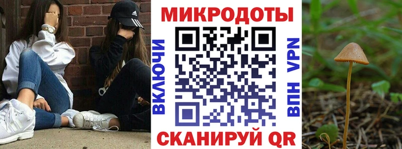 Купить закладки  Лабытнанги  Галлюциногенные грибы Magic Shrooms 